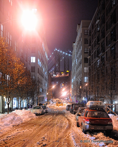 DUMBO After the Snow Storm
