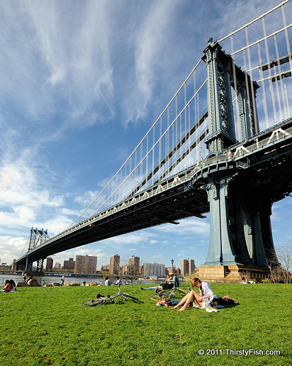 Manhattan Bridge - Impulse to Differentiate