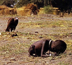 Kevin Carter - Vulture