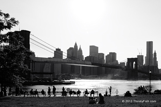 Backlit Brooklyn Bridge - 1 WTC