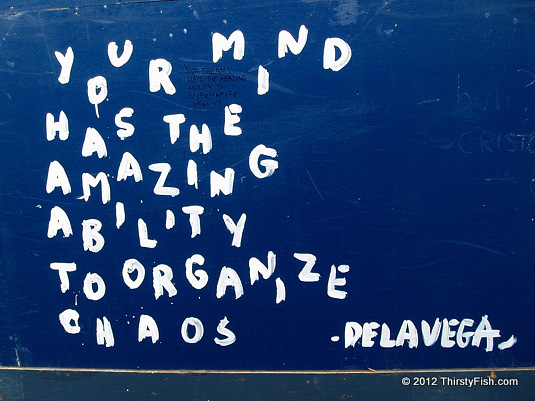 ...Ability To Organize Chaos - De La Vega