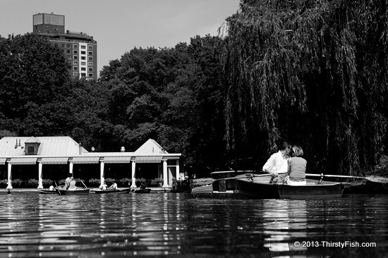 Row Boating in Central Park