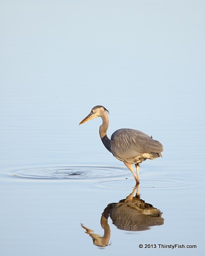 Heron: Reflection, Refraction, Diffraction