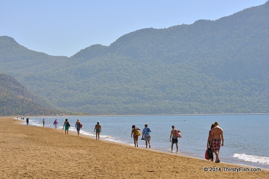 Iztuzu Beach, From One End To The Other