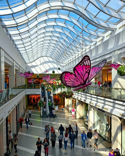 Izmir Mall - Butterflies - Carrying Capacity