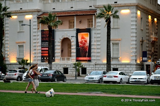 Walking The Dog In Izmir